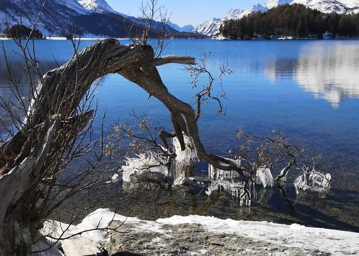 4 Bettwohnung By Interhome Appartement *